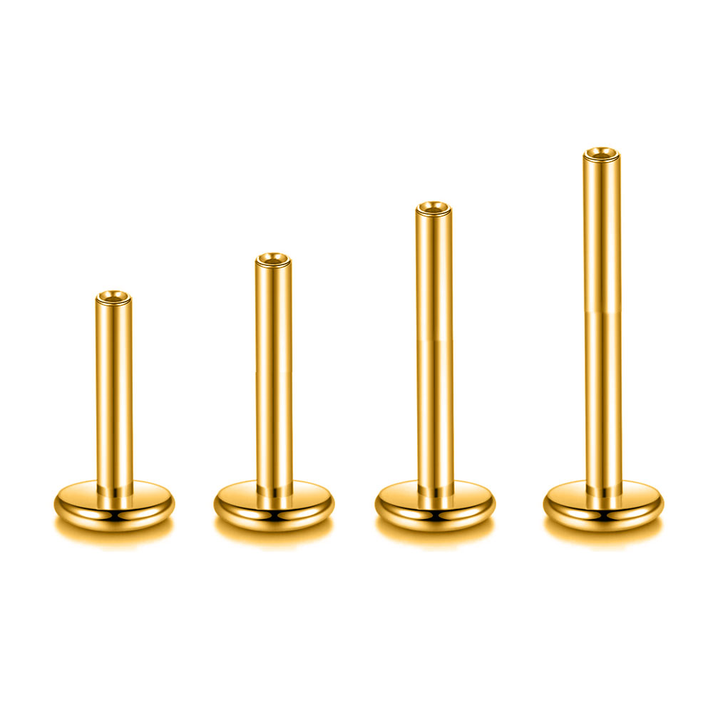 10pcs/Lot ASTM F136 G23 Titani - Flat Back Labret Stud recension och pris